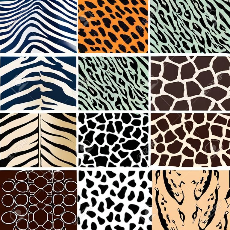야생 동물의 피부 패턴 세트