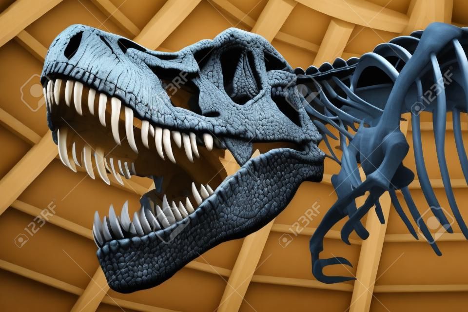 Close up of Giant Dinosaur  or T-rex skeleton