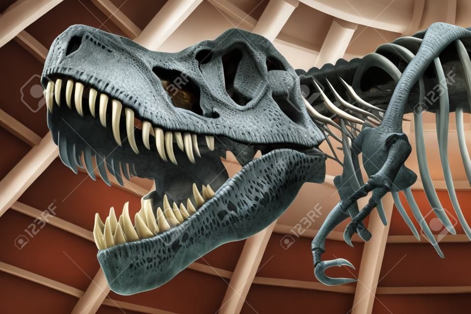 Крупным планом гигантских динозавров или T-REX скелета