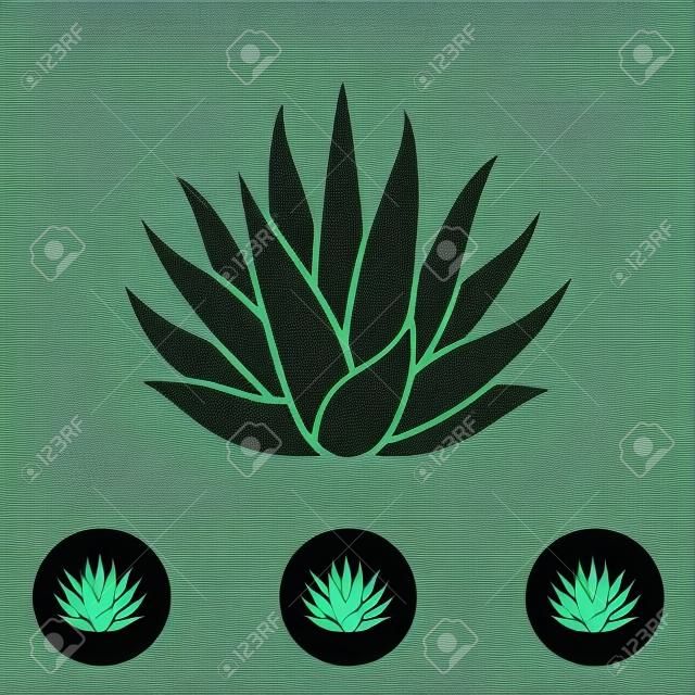 Agave plant vector silhouette. Blue agave cactus illustration. Tequila logo.