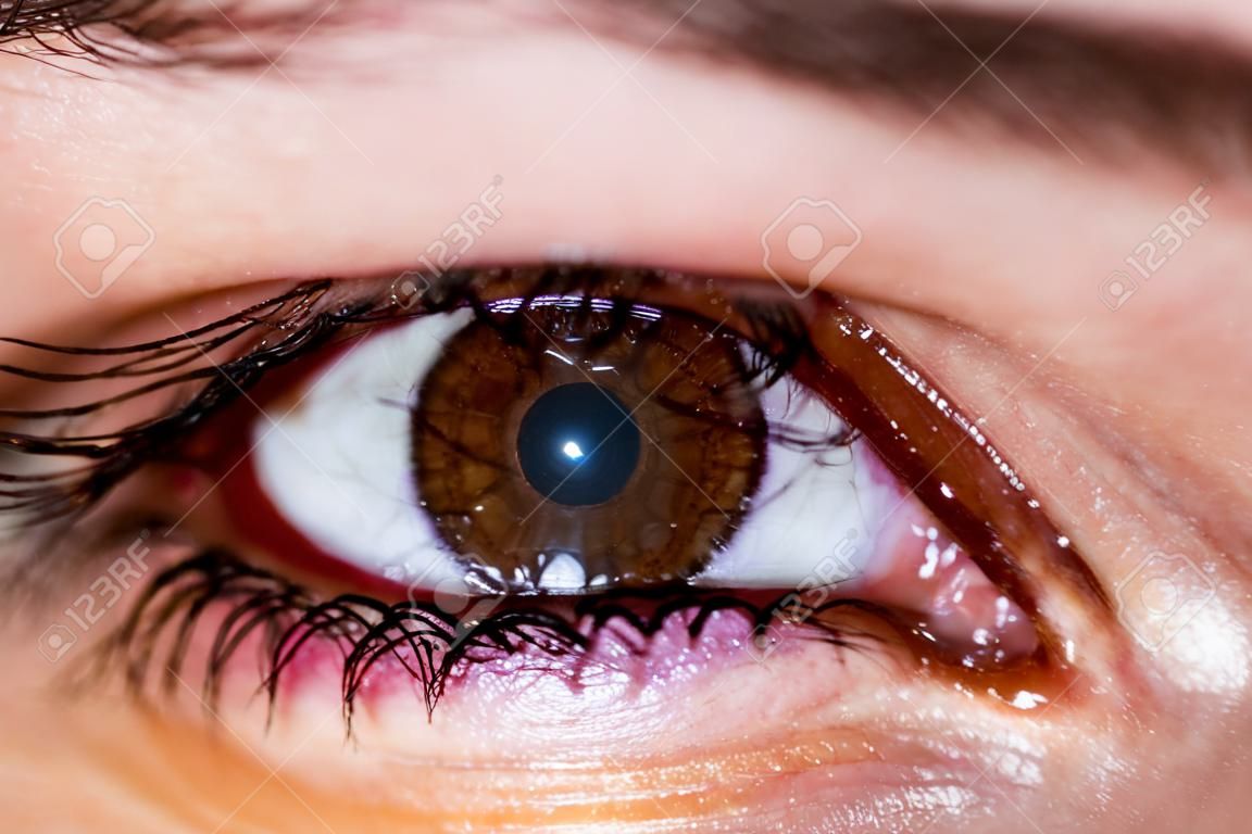 ein genauer Blick auf ein schönes Auge