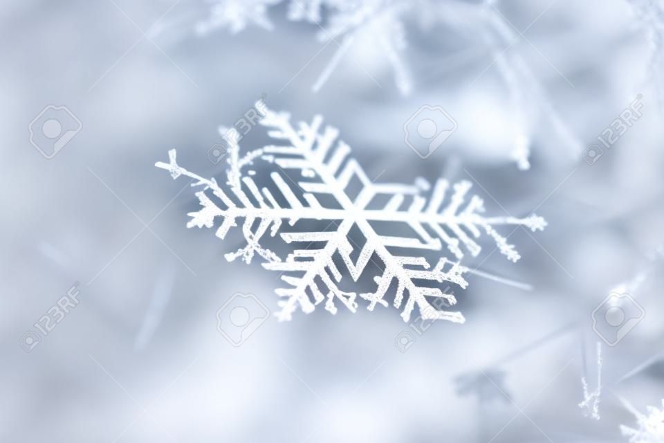 Snowflake natural macro