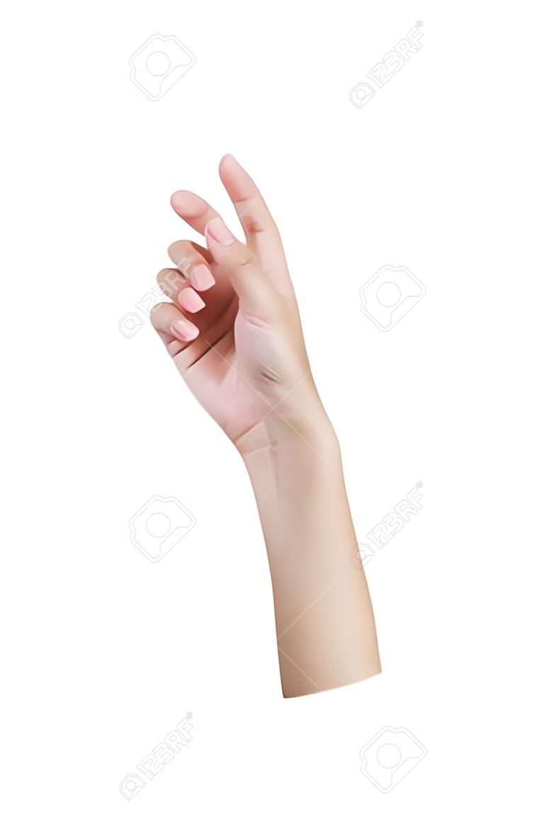 Vrouw hand houdt iets leeg voorkant, geïsoleerd op witte achtergrond.