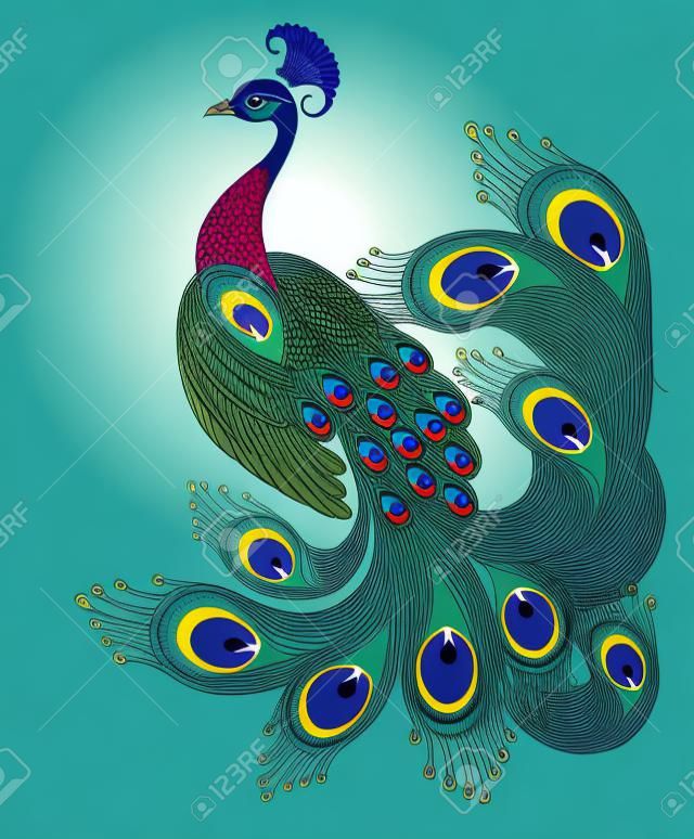 Peacock. Bird symbol. Vector background