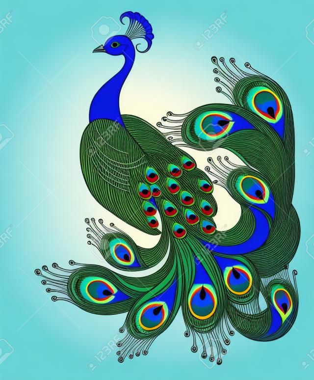 Peacock. Bird symbol. Vector background
