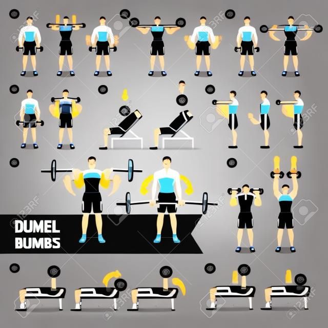 Dumbbell Exercícios e exercícios de treinamento de peso. Ilustração vetorial.