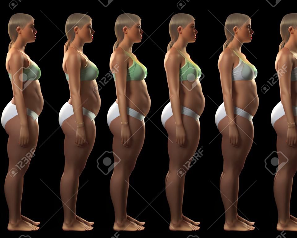 3D representa mostrando las etapas de una mujer puesta en peso
