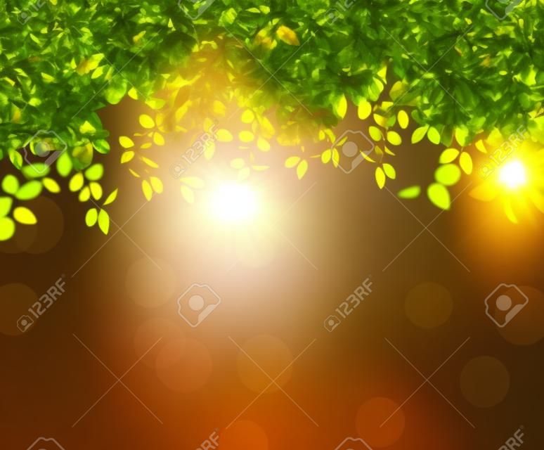 3D render słońce świecące przez liści na tle bokeh