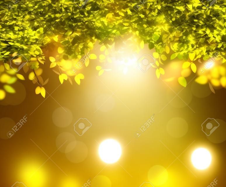 Bir bokeh arka plan üzerinde yaprakların arasından parlayan güneş 3D render