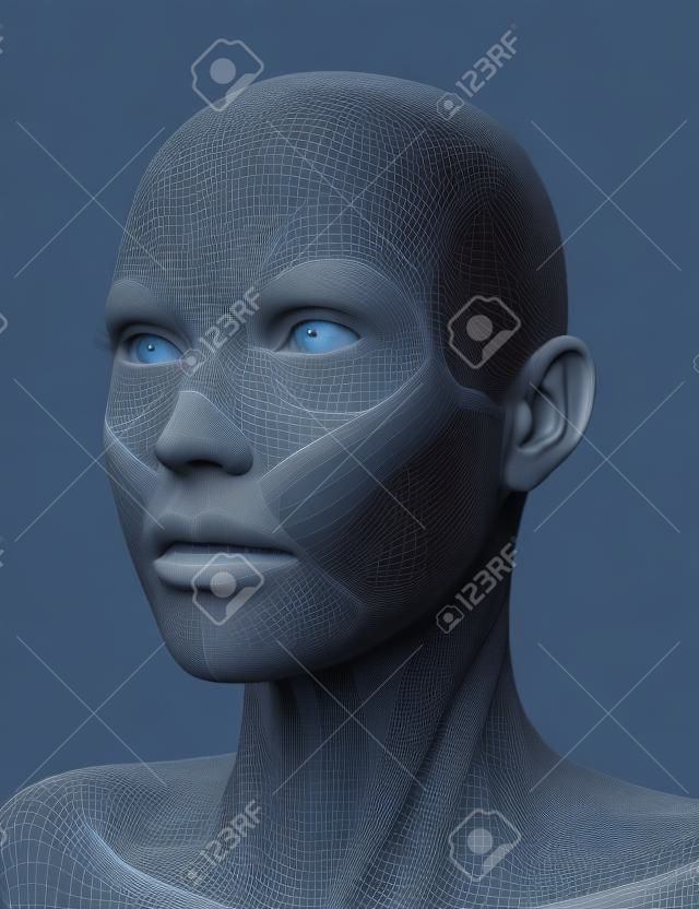 3D übertragen von einem weiblichen Gesicht mit detaillierten Muskel Karte machen