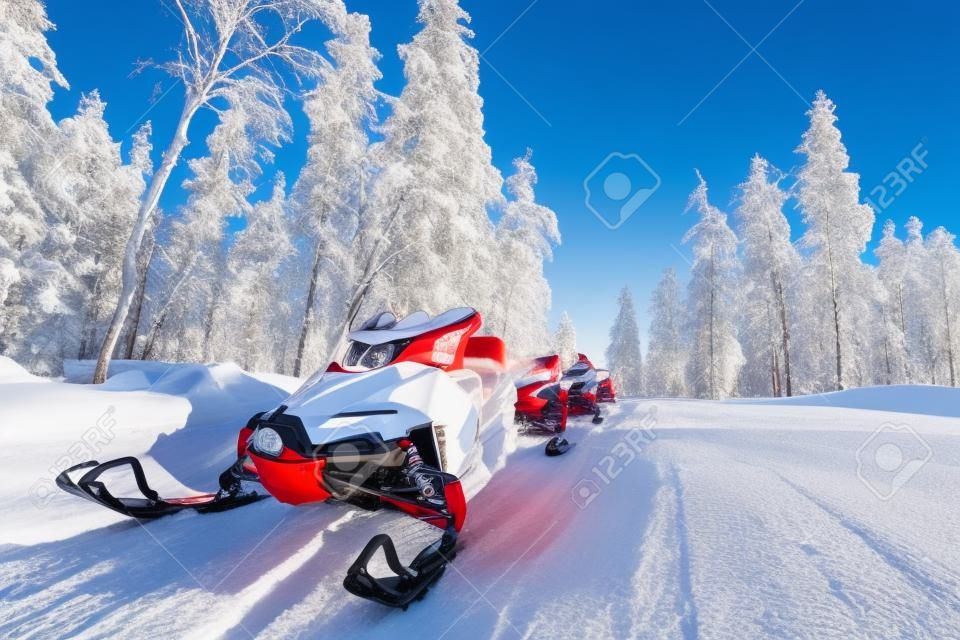 Grupo de snowmobiles vermelhos na paisagem ensolarada finlandesa da Lapônia