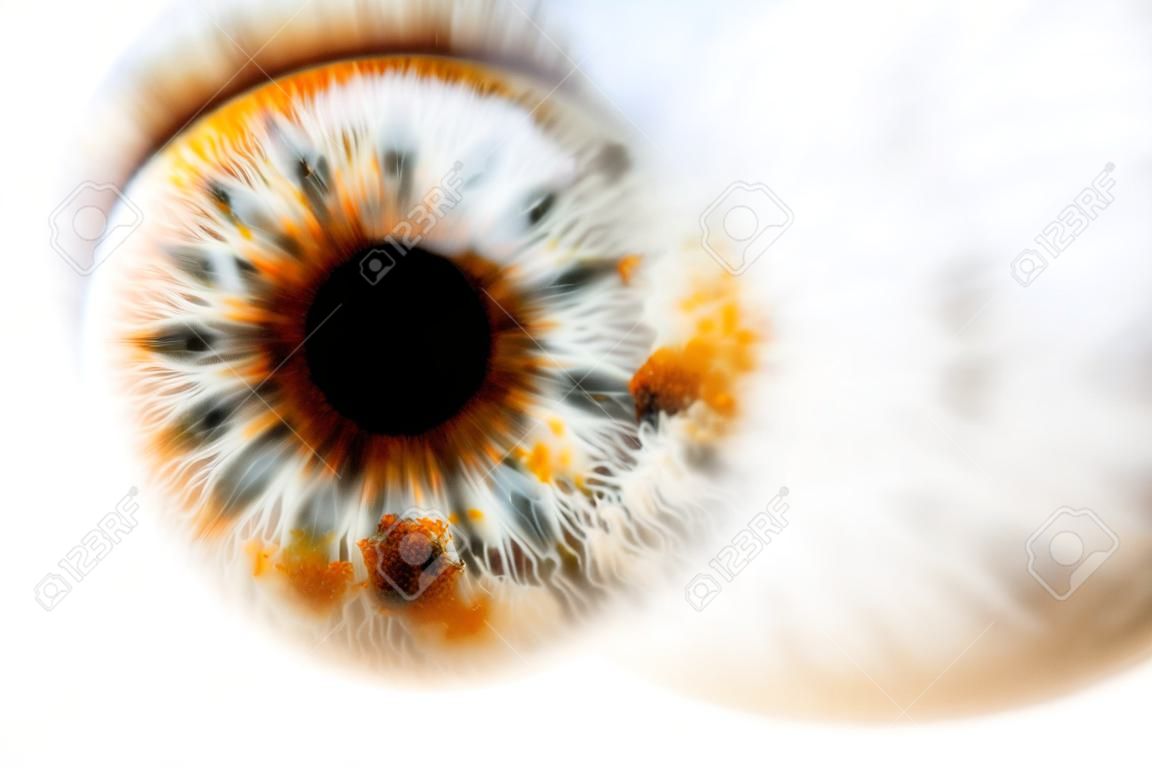 extremo close-up de um olho humano com pontos avermelhados, profundidade de campo