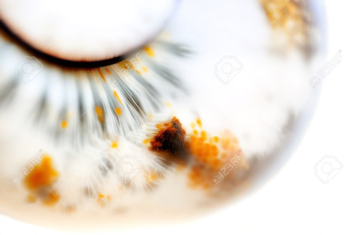 extremo close-up de um olho humano com pontos avermelhados, profundidade de campo