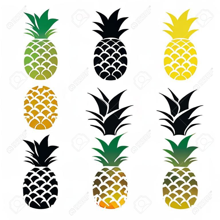 Pineapple vector black silhouette and sketch. Vector illustration.