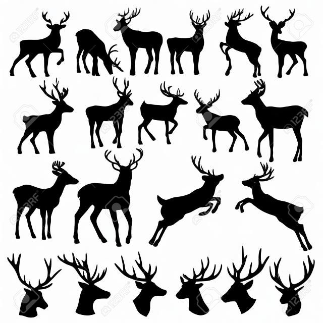 Set of a deer silhouette on white background