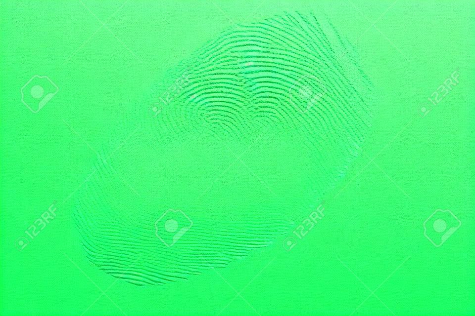 green fingerprint isolated on a white background.