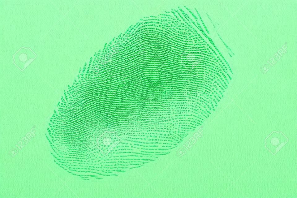 green fingerprint isolated on a white background.