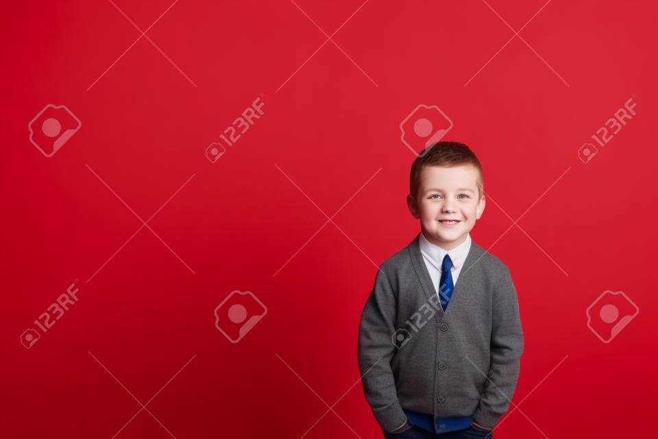 Little boy posing in the studio on a red background. A child in a gray jumper and tie