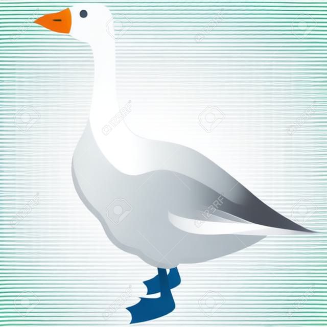Image vectorielle de conception plate d'icône de volaille d'oie