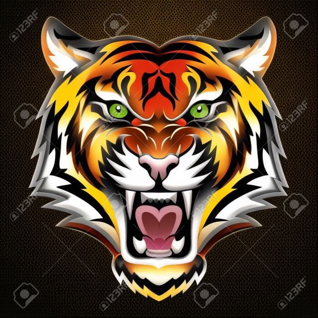 tigre testa