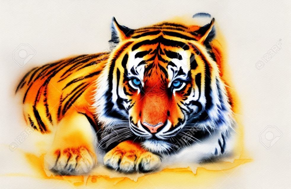 タイガー水彩