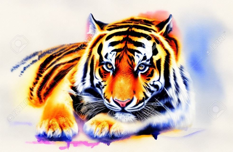 Tiger watercolor