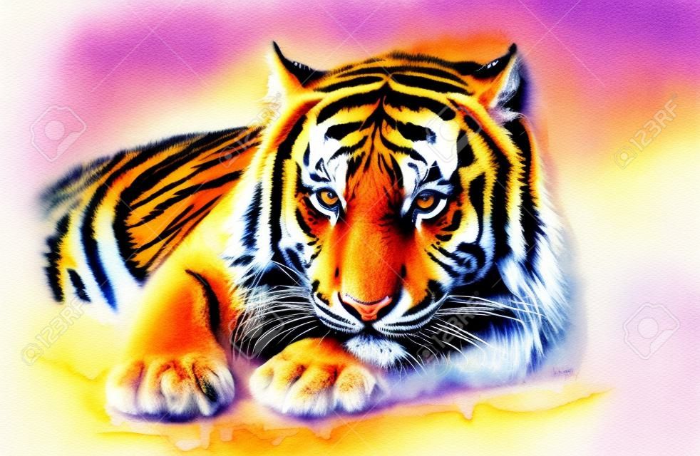 Тигр акварель