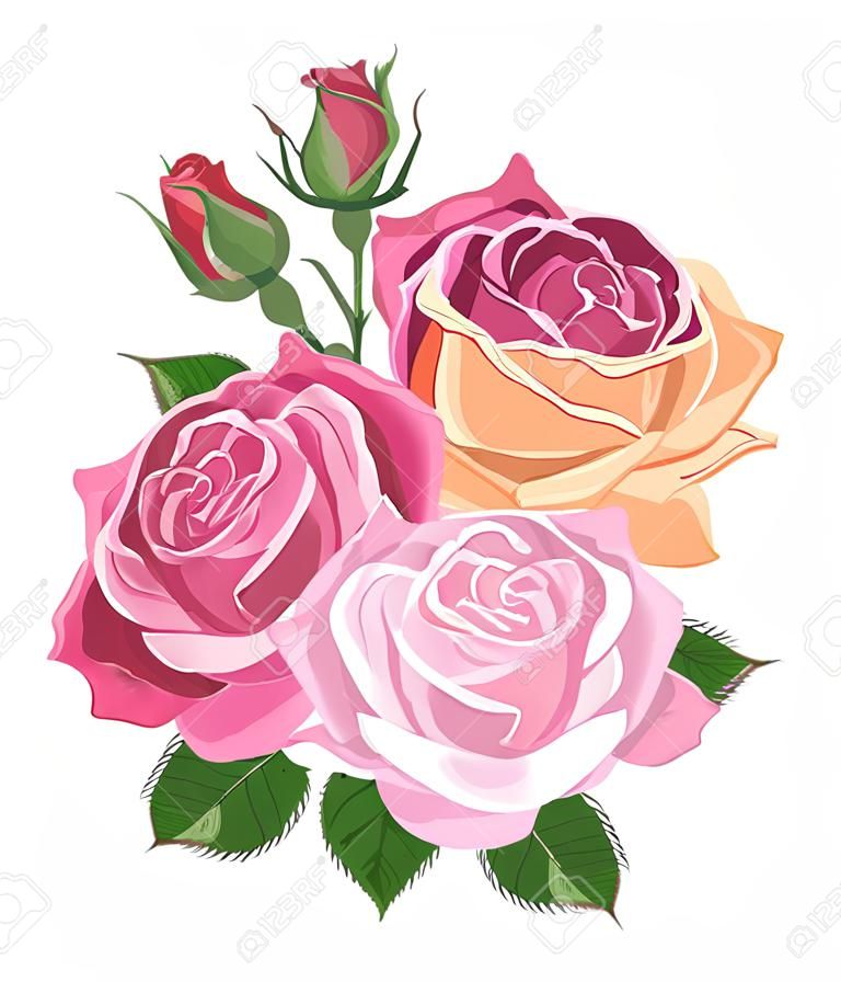 Ilustración de acuarela. Ramo de rosas aislado en blanco. Rosas, capullos, hojas. Conjunto vectorial de flores florecientes para el diseño. Decoración para invitaciones de boda y tarjetas de felicitación-vector.