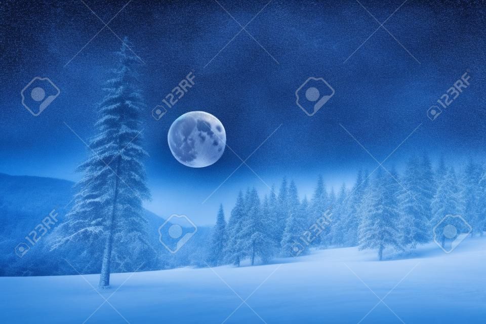 Noche de invierno con luna llena y cielo estrellado. Árboles cubiertos de escarcha en un bosque de montaña. Paisaje con nieve fresca