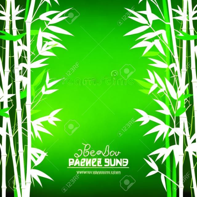 forêt de bambou sur fond vert, la carte de conception. Vector illustration.