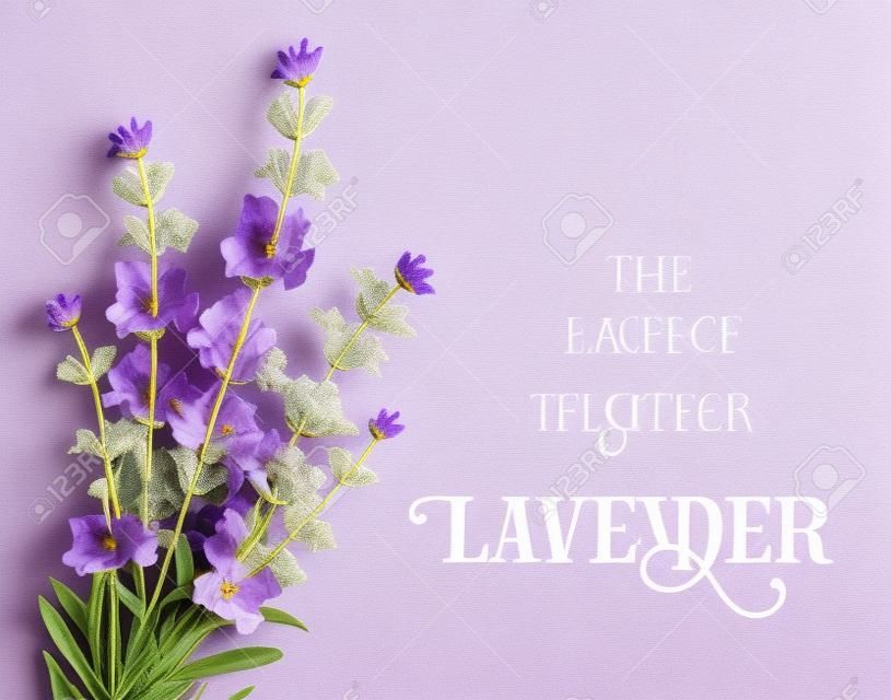 꽃과 텍스트의 프레임 라벤더 우아한 카드. 텍스트 프레젠테이션 라벤더 화환. 비누 패키지의 레이블입니다. 라벤더 꽃 레이블.