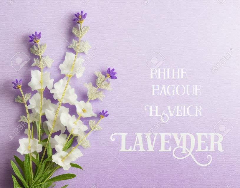 A levendula elegáns kártya kerettel a virágok és a szöveget. Levendula koszorú a szöveg bemutatása. Label szappan csomagot. Címke levendula.
