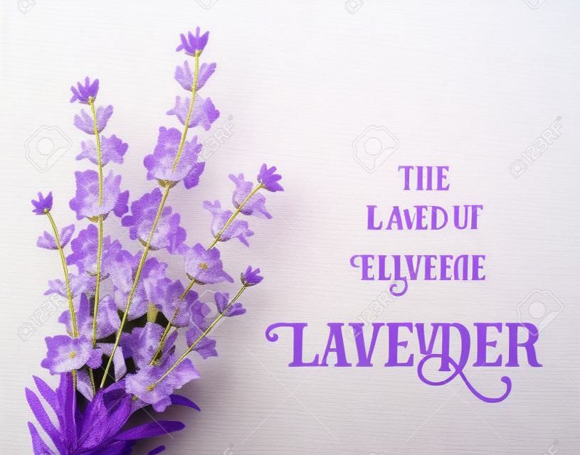 The lavender elegant card with frame of flowers and text. Lavender garland for your text presentation. Label of soap package. Label with lavender flowers.