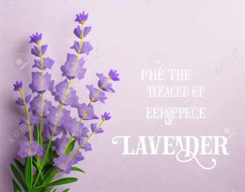 The lavender elegant card with frame of flowers and text. Lavender garland for your text presentation. Label of soap package. Label with lavender flowers.