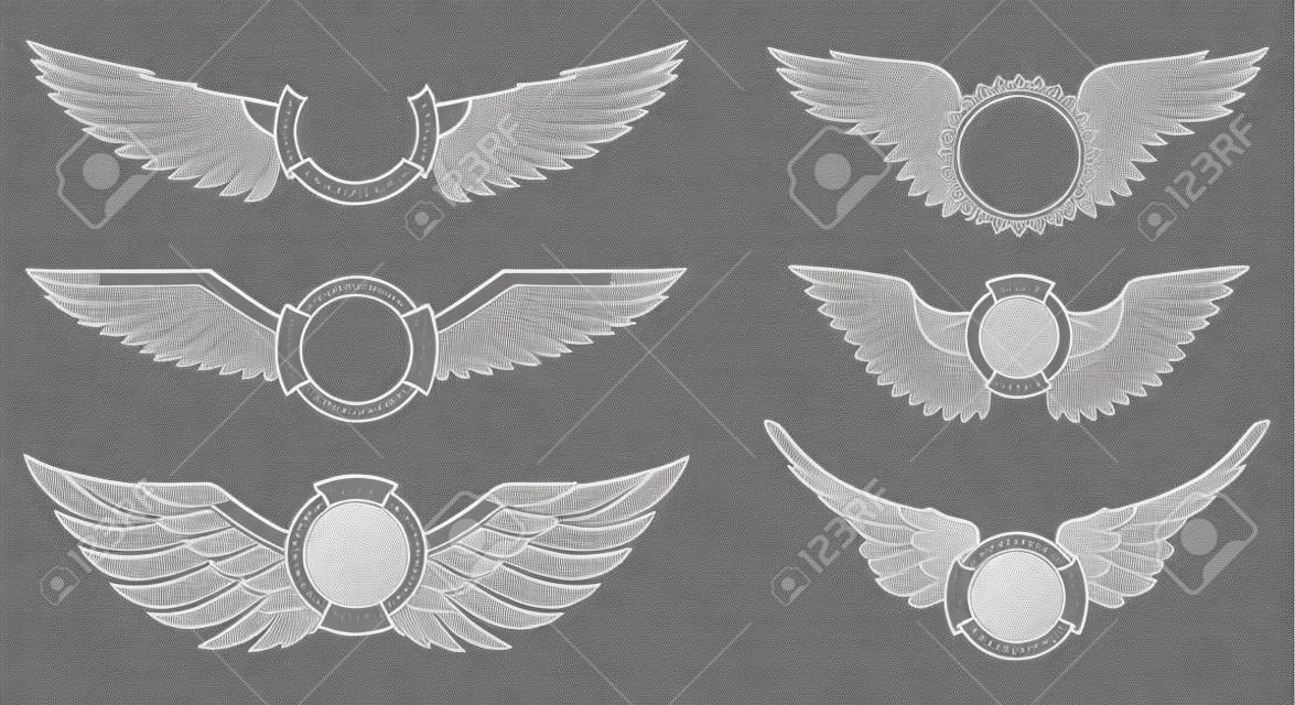 翼在白色背景設置橫幅。紋章翅膀。元素標識，標籤和標誌設計。矢量插圖。