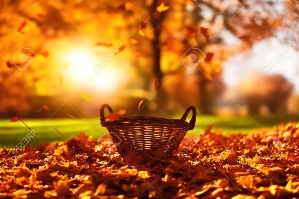 Autumn in the park: colorful leaves, basket the dry autumn leaves fall from the trees in the park at sunset, a place for the text.
