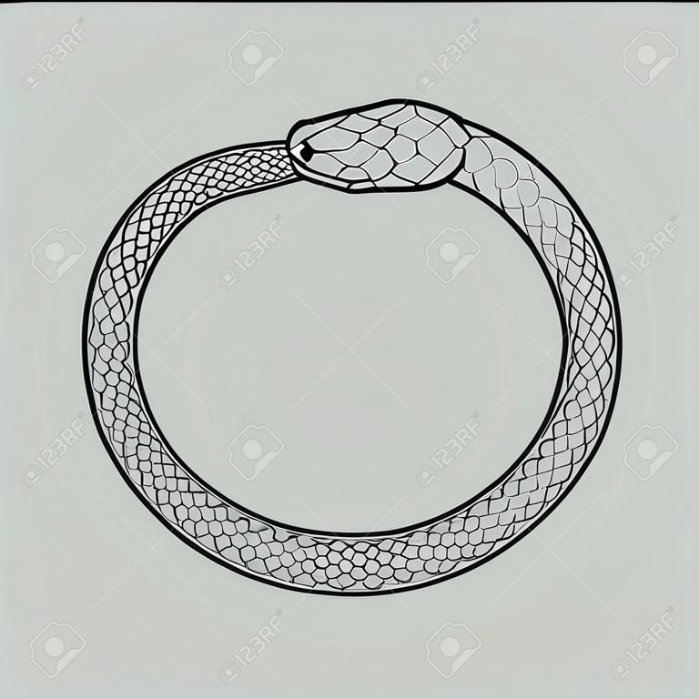Ouroboros icon, symbol of snake eating its own tail. Vector illustration EPS 10