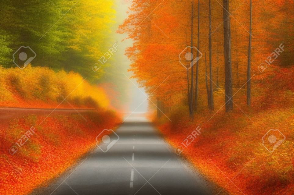 Straße im bunten Herbstwald. Schöne Landschaft