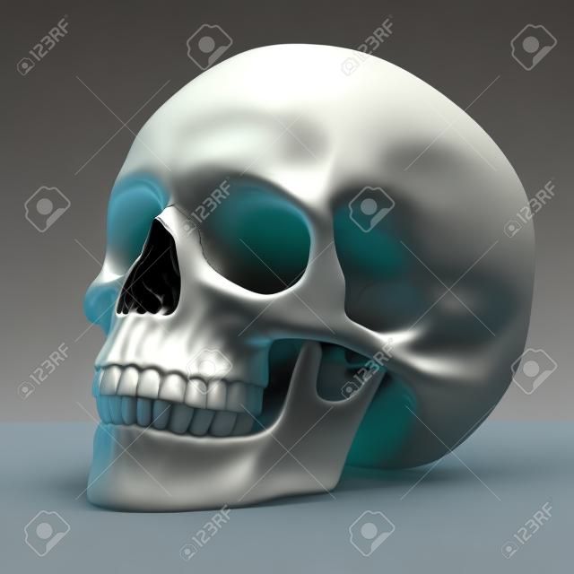 human skull 3d illustration 