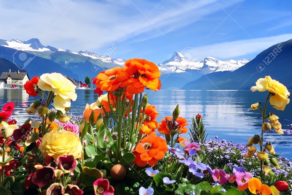 古典的なスイスの風景