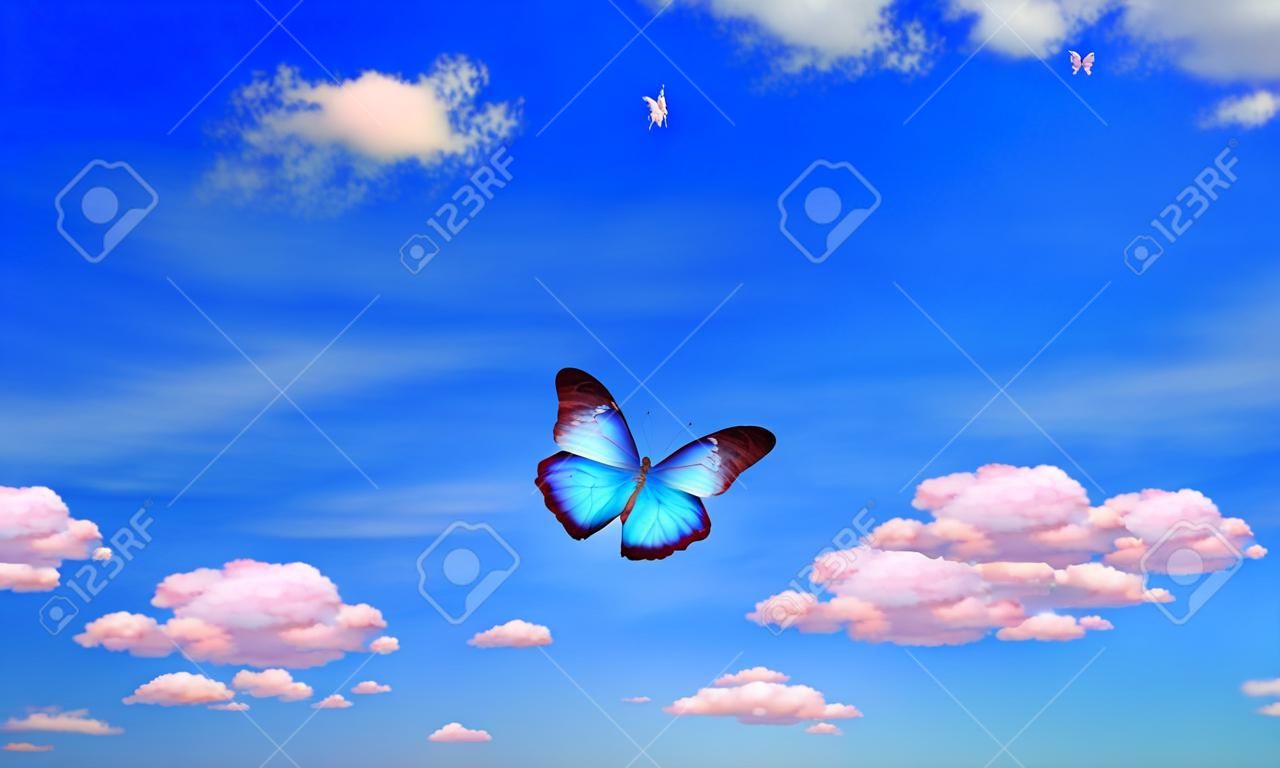 bright butterfly flying in the blue sky with clouds. flying blue butterfly. morpho butterfly copy spaces
