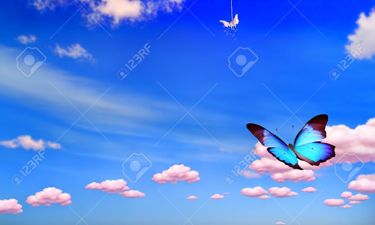 bright butterfly flying in the blue sky with clouds. flying blue butterfly. morpho butterfly copy spaces