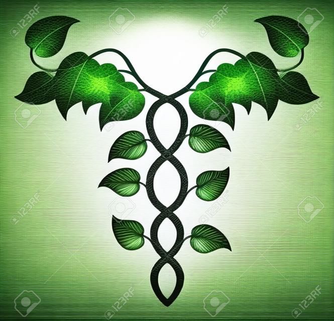 Illustration of a caduceus made up of vines, DNA or holistic medicine concept