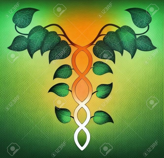 Illustrazione di un caduceo fatto di vigne, DNA o concetto di medicina olistica