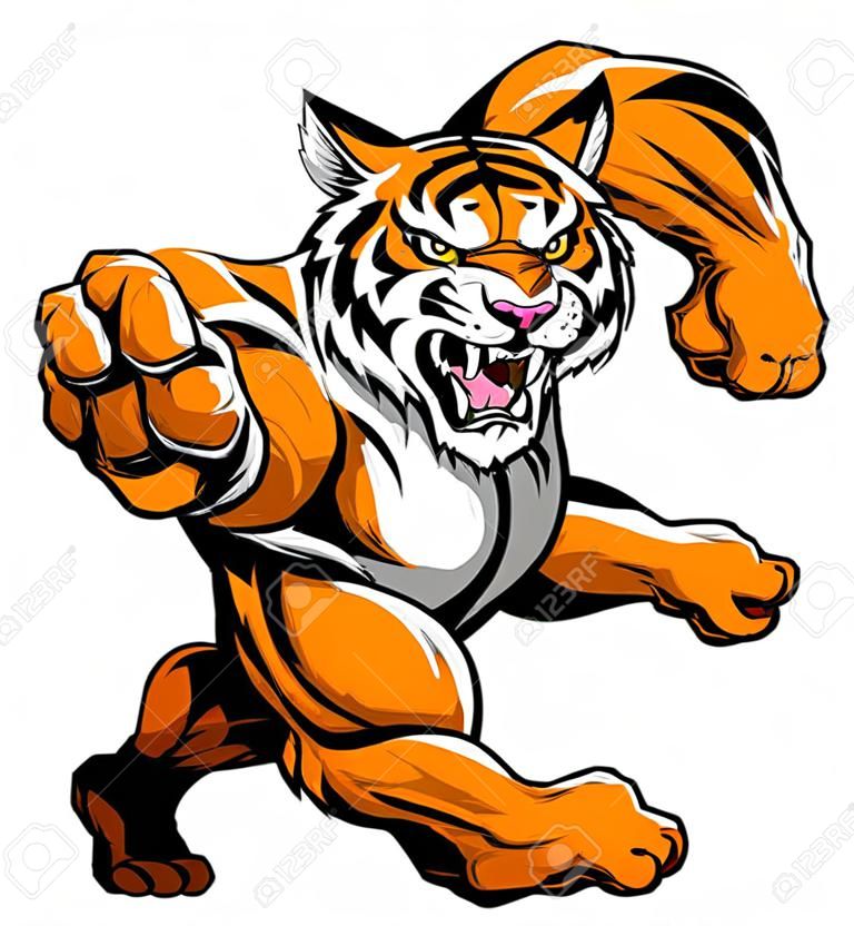 Une robuste musculaire mascotte sportive de caractère de tigre attaque avec un coup de poing