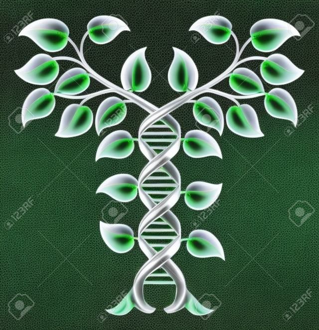 DNA Plant Double Helix Concept, can refer to alternative medicine, crop gene modification or other healthcare or medical theme.