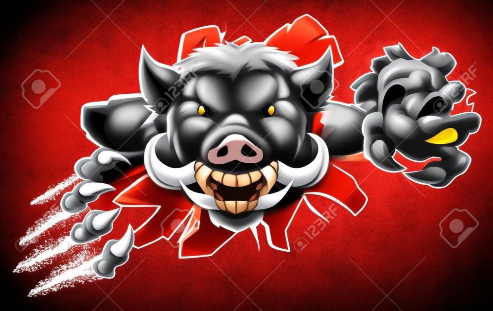 一隻野豬或razorback卡通運動吉祥物用爪子穿過牆壁