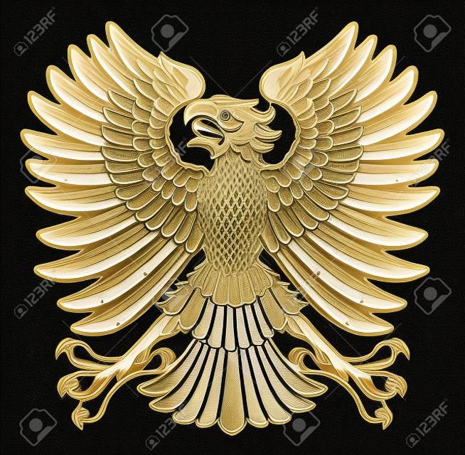 Un escudo imperial de estilo brazos emblema del águila de aves