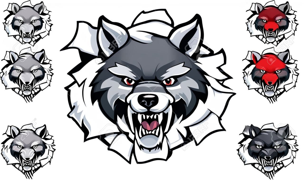 Wolf Cricket Mascote Quebrando Fundo