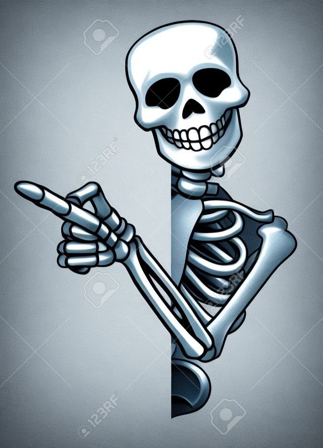 Pointing Cartoon Skeleton isolated on white background.